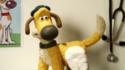 بره ناقلا (مشکل خوکی)